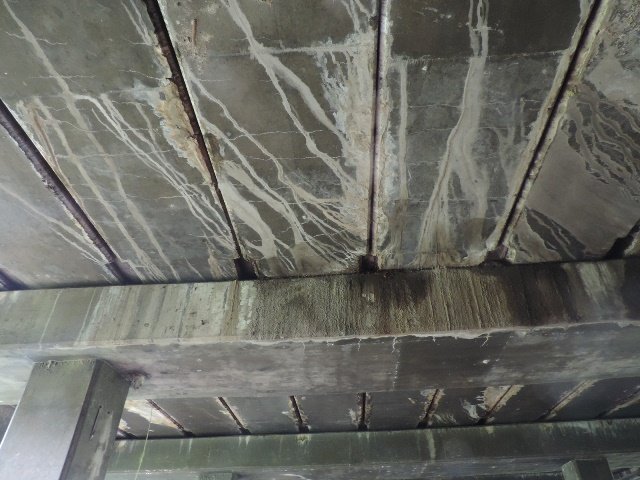 dscn4184
